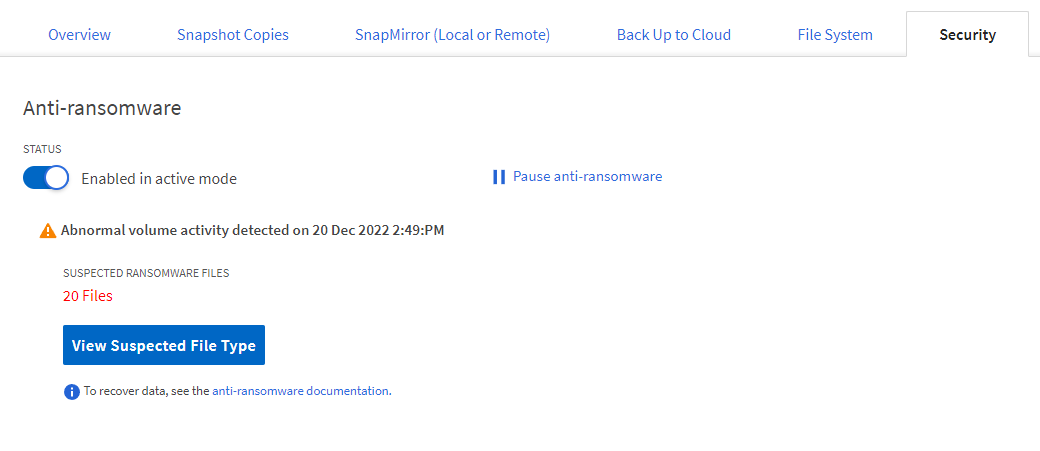SUSPECTED RANSOMWARE FILES