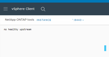No healthy upstream error.png