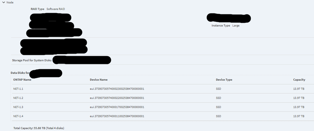 NVMe-SSD disk size small then expect after deploy in ONTAP Select