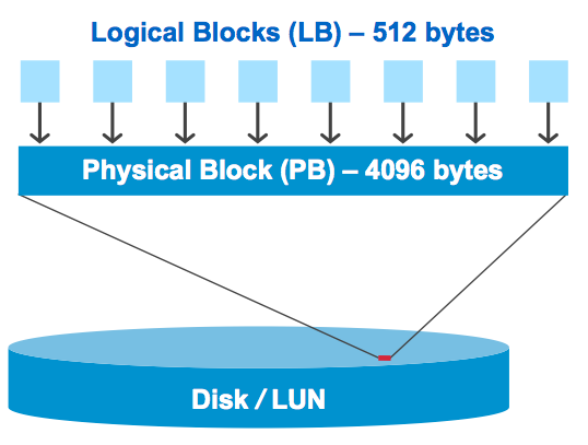 LUNs as storage devices by host operating system